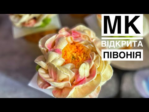 Видео: Відкрита зефірна ПІВОНІЯ ❗️ 