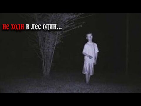 Видео: 12 Жутких Вещей в Лесу, Снятых На Охотничью Камеру Ловушку ч.2