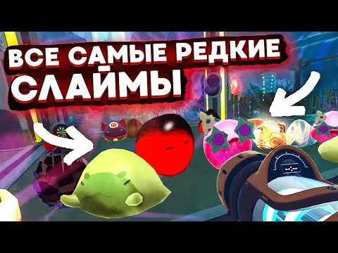 Видео: Slime Rancher. ЧЕЛЛЕНДЖ: САМЫЕ РЕДКИЕ СЛАЙМЫ В ОДНОМ ЗАГОНЕ!