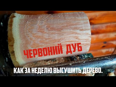 Видео: Сушка древесины кругляка без трещин . Красный дуб.