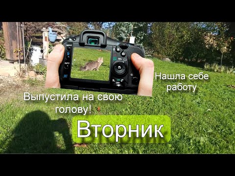 Видео: Неделя со мной во Франции. От рассвета до заката. 