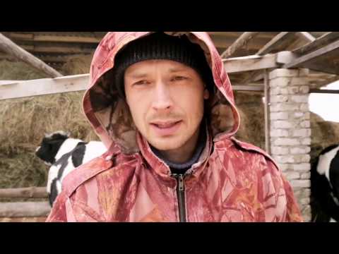 Видео: Содержание коров в загоне. Результаты.