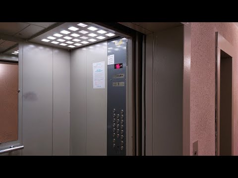 Видео: Лифты ЩЛЗ EcoMaks 2018 г. @ ЖК Содышка, д. 1 (г. Владимир)