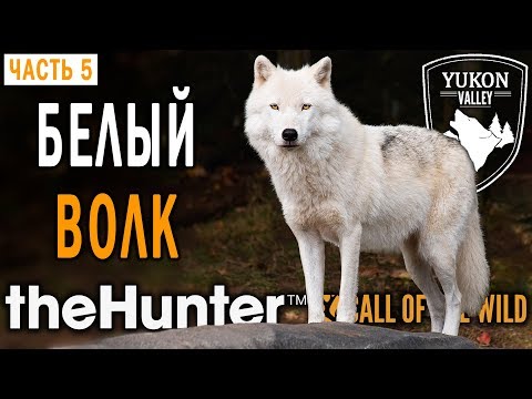 Видео: theHunter Call of the Wild #5 🐺 - Трофей: Белый Волк - Долина Юкона, Аляска