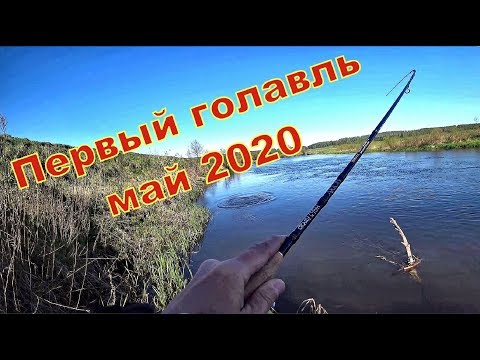 Видео: Рыбалка весной на реке. Первый голавль 2020 года