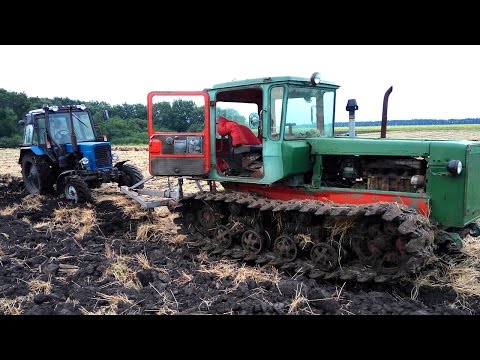 Видео: ДТ-75 и МТЗ-82 на вспашке поля под зябь. #СельхозТехника_ТВ №42