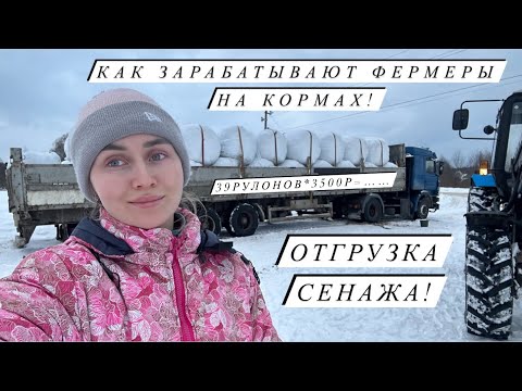 Видео: В ожидании отёлов и опоросов! Новости Молодой фермы! Заказала новый инкубатор!