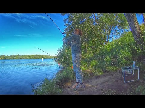 Видео: ЛЕЩ КЛЮЕТ НА САЛО Рыбалка на ДОНКИ с ночевкой Ловлю на ВОЛГЕ Russian fishing