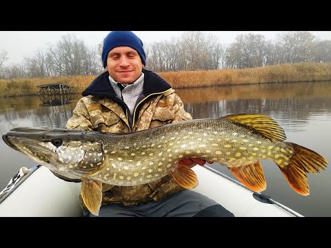 Видео: Этот воблер ловит пассивную щуку! Обзор TsuYoki WATSON 110 MR!