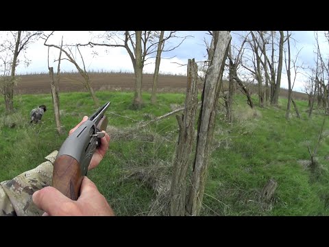 Видео: Открытие охоты на зайца 2025