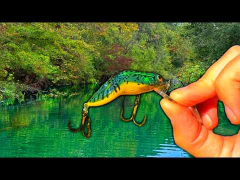 Видео: Приманка для лягушки старой школы в Клир-Крик