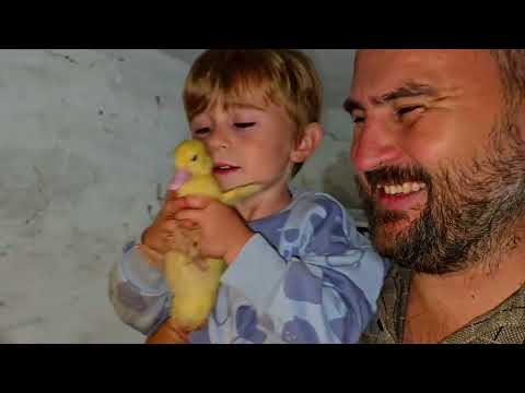 Видео: Зацелованные 2 сезон 3 серия)))