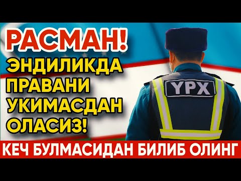 Видео: ЭНДИЛИКДА ПРАВАНИ УКИМАСДАН ОЛАСИЗ!