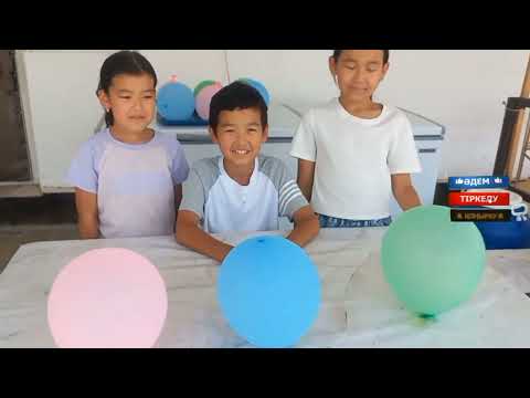 Видео: 20 января 2025 г.