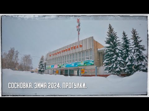 Видео: Сосновка. Зима 2024. Прогулки по городу.