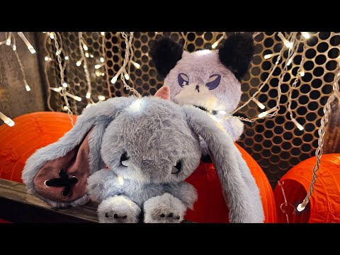 Видео: Unboxing merch XDINARY HEROES/Распаковка плюшевого мерча