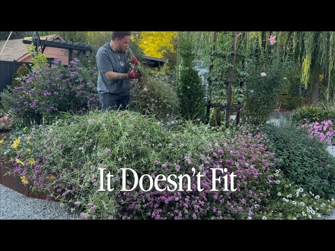 Видео: Готовим сад к зиме, и это так здорово || Посетите наш сад