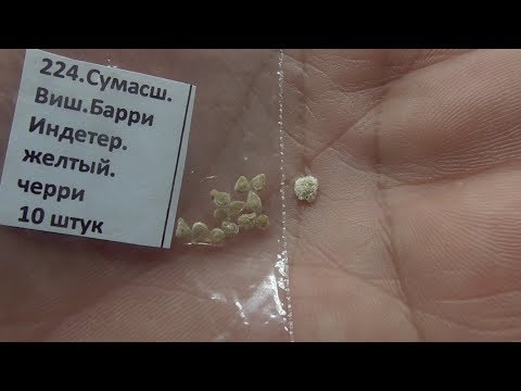 Видео: ПОЧЕМУ НЕ ВСХОДЯТ СЕМЕНА ТОМАТОВ? Ольга Чернова.