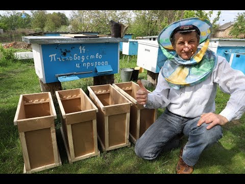 Видео: Как сделать отводок пчел