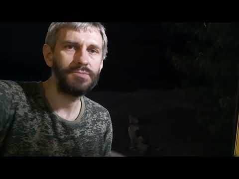 Видео: CATS, KITCHEN STOVE, DOOR, GRIL / КОШКИ, КУХОННАЯ ПЕЧЬ, ДВЕРЬ, ГРИЛЬ