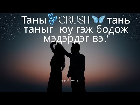 Видео: 🦋🦋Таны CRUSH таныг юу гэж бодож мэдэрдэг вэ 🦋🦋
