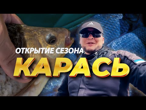 Видео: ТУТ КАРАСЬ ХОДИТ СТАДАМИ! Открытие летней рыбалки сезона 2025!