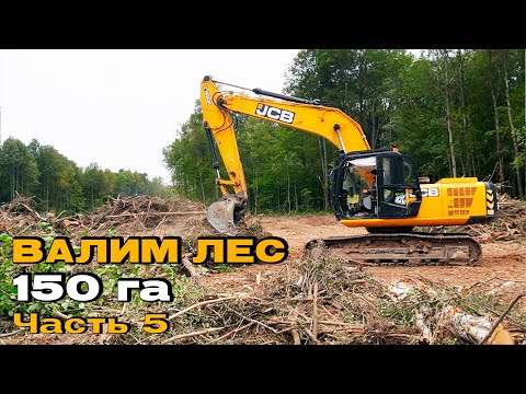 Видео: Профессия МАШИНИСТ ГУСЕНИЧНОГО ЭКСКАВАТОРА. Вырубка леса под аэропорт в г. Владимир
