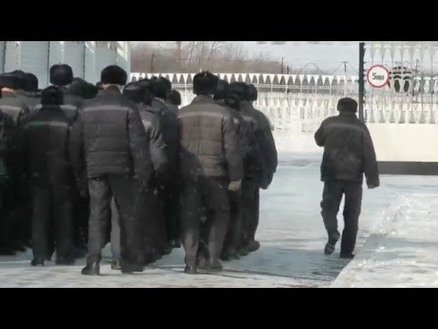 Видео: Денис Мазитов - Салават (заявка на Калину Красную 2016)