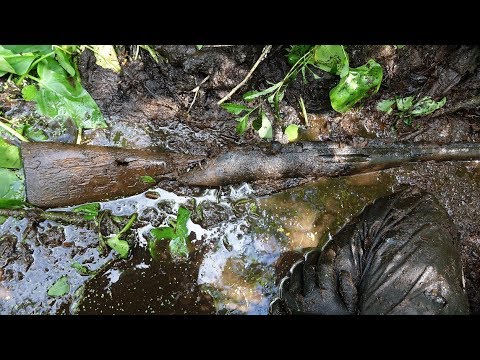 Видео: Солдаты с оружием в болоте, Раскопки Второй мировой  // Юрий Гагарин