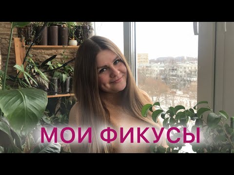 Видео: Мои ФИКУСЫ | Обзор коллекции