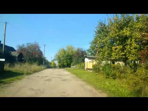 Видео: Марговица