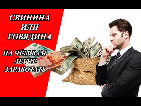 Видео: На чем вам легче заработать. Свинина или говядина. Свиноводство как бизнес.