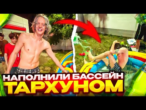 Видео: ХАЗЯЕВА НАПОЛНИЛИ БАССЕЙН ТАРХУНОМ И КУПАЮТСЯ В НЁМ | ПАРАДЕЕВИЧ ПОКАЗАЛ ТРЮКИ С БАССЕЙНОМ