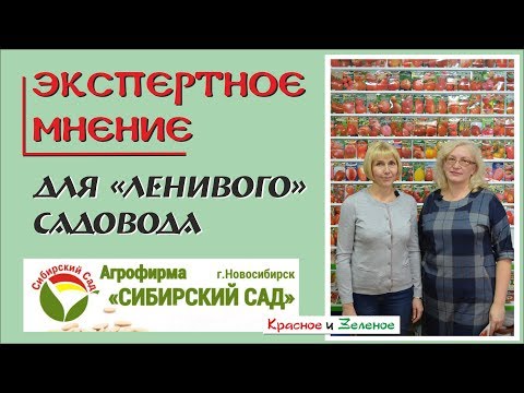 Видео: Сибирский Сад. Сорта томатов, перца и баклажанов самые простые в выращивании