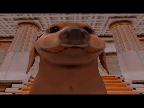 Видео: СТАЛА СОБАКОЙ НА 24 ЧАСА В SAMP