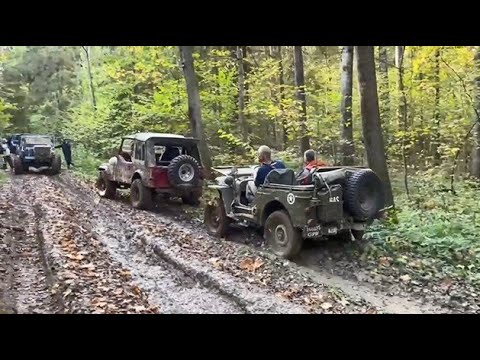 Видео: Willys. Ford GPW. Осенний офф-роуд в Хотьково (ч.2)_Autumn off road at Khot'kovo (p.2) on Sep. 2023