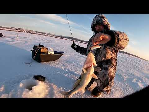 Видео: Судак на Вибы в глухозимье.Рыбалка на Каме