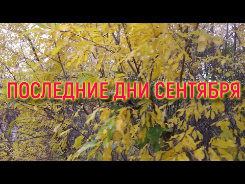 Видео: ПОСЛЕДНИЕ ДНИ СЕНТЯБРЯ // #МАГАДАН