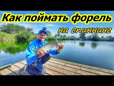 Видео: ФОРЕЛЬ/ЛОВЛЯ ФОРЕЛИ НА ПЛАТНИКЕ/САМАРСКАЯ ОБЛАСТЬ, ХРЯЩЁВКА