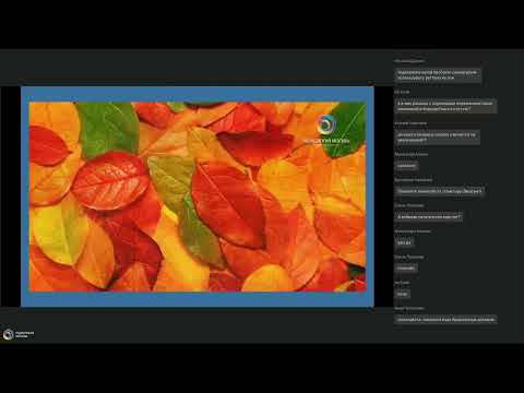 Видео: Техника написания заключений КТ    Острый и хронический панкреатит   2 часть