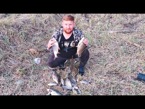 Видео: Рыбалка в секретном месте. С такими карасями и сазаны не нужны. Весна 2025