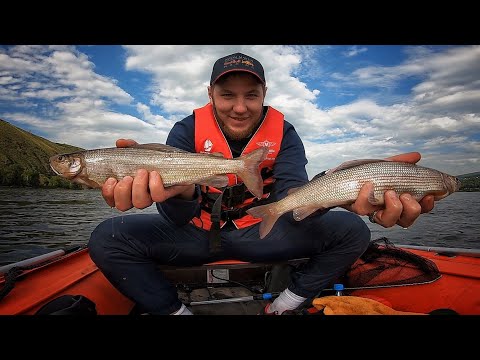 Видео: ХАРИУС НА РЕКЕ ЕНИСЕЙ !!! РЫБАЛКА С ЛОДКИ В КРАСНОЯРСКЕ