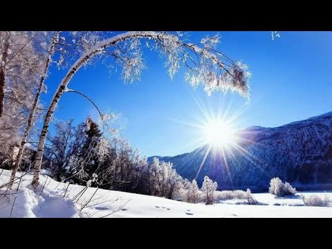 Видео: Подготовительный курс  Цигун ☯️ Тайцзи для начинающих !  Дао ❄️Зимы  !