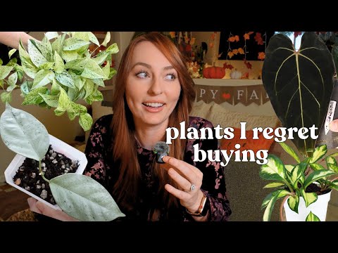 Видео: комнатные растения, на которые я больше не буду тратить деньги 🙅‍♀️ 👎