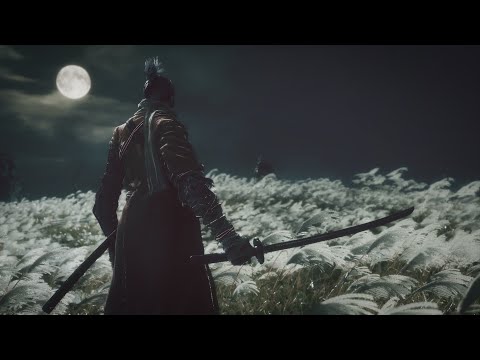 Видео: Анализ Sekiro: Shadows Die Twice. Часть 1: Шосин