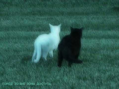 Видео: ｡･:*:･ﾟ★,｡･:*:･ﾟ☆★|плейлист первая невзаимная любовь|★.・。.・゜✭・