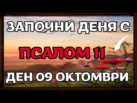 Видео: Защо Псалом 11 има сила да прогонва врагове, завист и всякакви клюки