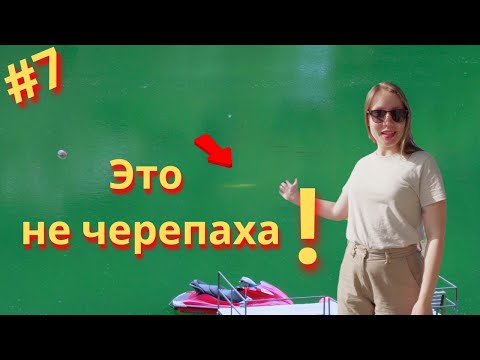 Видео: Озеро Лиси и Черепашье озеро в Тбилиси | Тбилиси озеро 2023