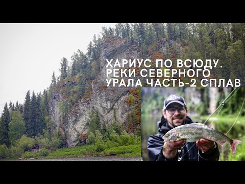Видео: Хариус повсюду. По рекам северного Урала. Часть вторая - сплав.