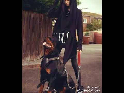 Видео: песня для флешмоба (7)